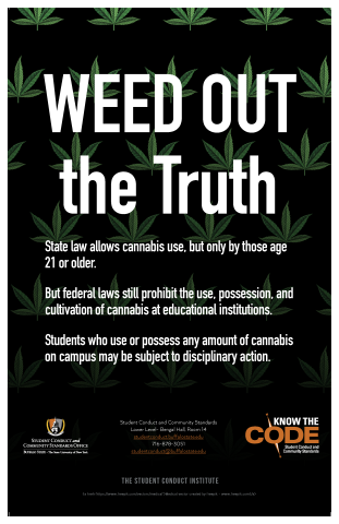 Cannabis Law Poster